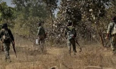 दो नक्सली ढेर