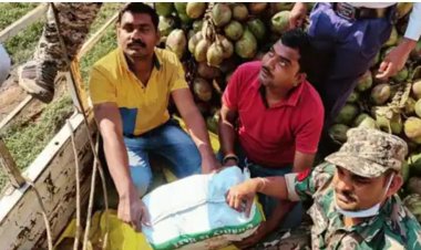 नारियल में छिपाकर ले जा रहे 2 करोड़ का गांजा जब्त