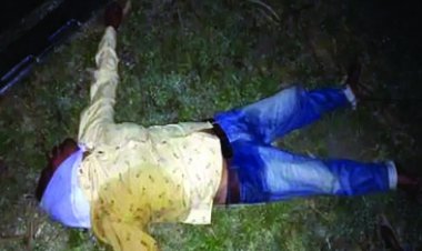 सड़क हादसे में 2 की मौत,14 घायल