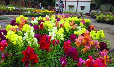 मैत्री बाग में फ्लावर शो का आयोजन 13 मार्च को