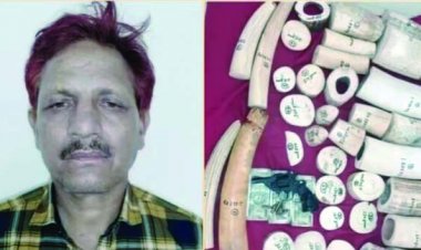 तीन करोड़ के हाथी दांत के साथ यूपी पुलिस का एसआई गिरफ्तार