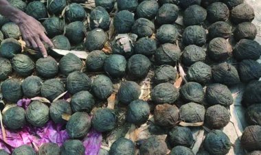 20 से अधिक असलहे और 400 से अधिक बम बरामद