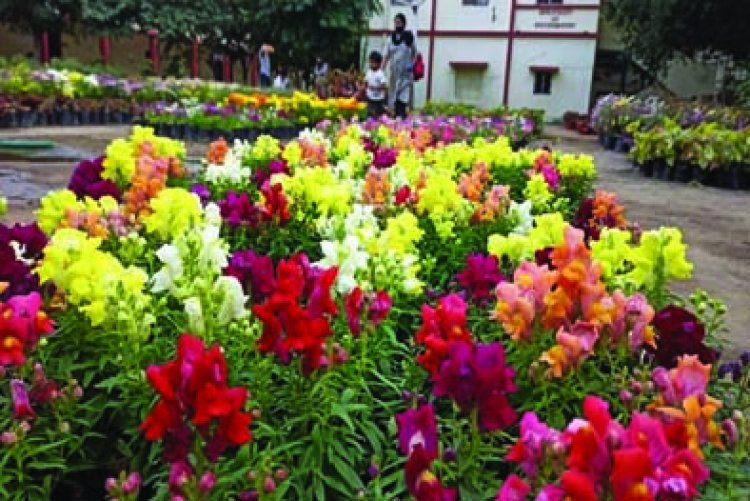 मैत्री बाग में फ्लावर शो का आयोजन 13 मार्च को