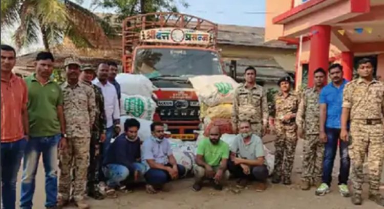 छत्तीसगढ़ के कोंडागांव में पकड़ाया दो करोड़ का चंदन लकड़ी