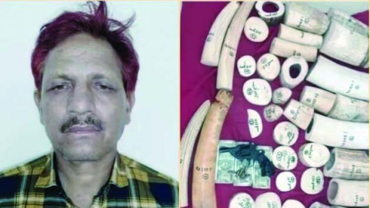 तीन करोड़ के हाथी दांत के साथ यूपी पुलिस का एसआई गिरफ्तार