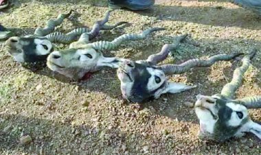 एसआई समेत तीन पुलिसकर्मियों की हत्या