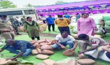 12 टन गांजा जलाकर तैयार कर दी बिजली