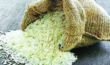 छत्तीसगढ़ में सुगंधित धान के बीजों की समस्या 