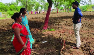 नेवई गोठान में महिलाएं कर रही हल्दी की खेती