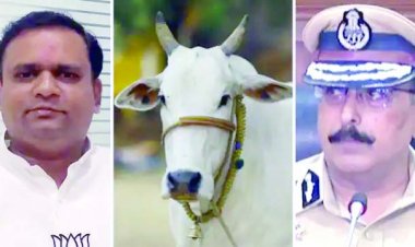 बकरीद के दिन महाराष्ट्र में नहीं कटे एक भी गाय...