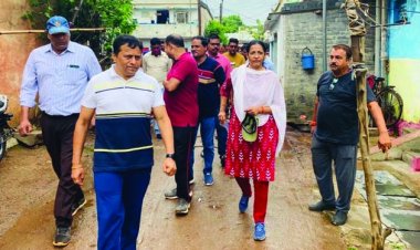 डेंगू नियंत्रण के कार्य में लापरवाही बरतने वाले सुपरवाइजर को लगाई फटकार