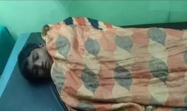 इस भाजी को खाने से चार गंभीर