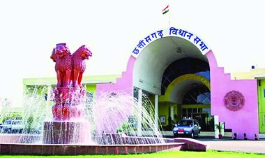 सदन में गूंजा भिलाई इस्पात संयंत्र में मौत का मुद्दा