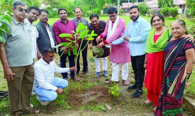पर्यावरण सरक्षण से जुड़े हरेली त्यौहार की बताई महत्व