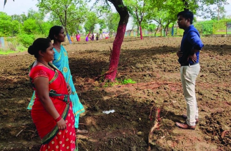 नेवई गोठान में महिलाएं कर रही हल्दी की खेती