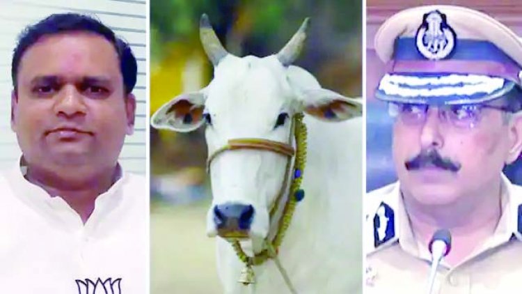 बकरीद के दिन महाराष्ट्र में नहीं कटे एक भी गाय...