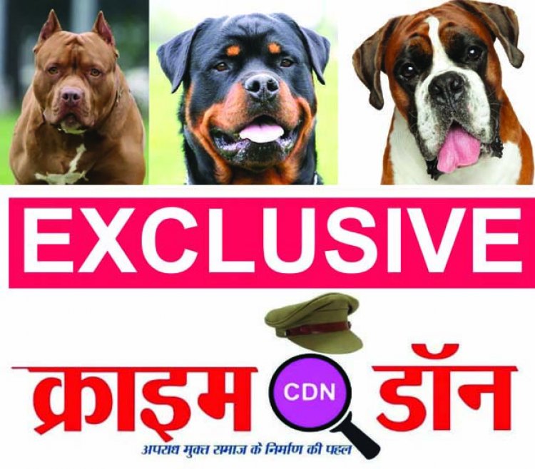 घरों में कुत्ता पालने अनुमति जरूरी, छत्तीसगढ़ प्रदेश में अब तक नहीं बना कोई गाइड लाइन 