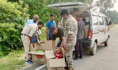 चिप्स और कुरकुरे के कार्टून में मिला 3 लाख का गांजा