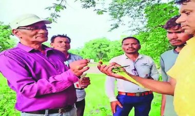 खेत में जहरीले पानी पीने से 52 मौतें, मचा हड़कंप