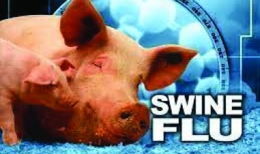 छत्तीसगढ़ में स्वाइन फ्लू के तीन और केस:एक्टिव मरीजों की संख्या हो गई 14