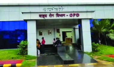 डेंगू के 665 और जापानी बुखार के 12 मरीज