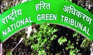 नोएडा प्राधिकरण ने यमुना में डाला दूषित पानी, एनजीटी ने लगाया 100 करोड़ का जुर्माना