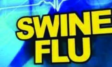स्वाइन फ्लू के मरीजों में फिर हुई बढ़ोतरी, एक्टिव प्रकरणों की संख्या 14