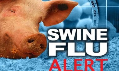 स्वाइन फ्लू के मरीजों की संख्या हुई 36, मिले 5 नए केस