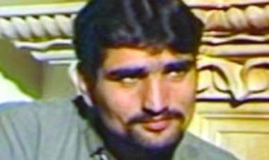 कश्मीरी पंडितों को मारने के आरोपी की पत्नी, हिज्बुल सरगना सलाउद्दीन के बेटे समेत 4 की सरकार नौकरी छिनी