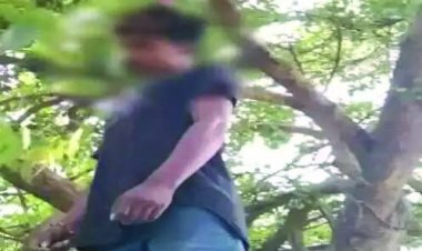 घर से लापता प्रेमी युगल की मिली लाश