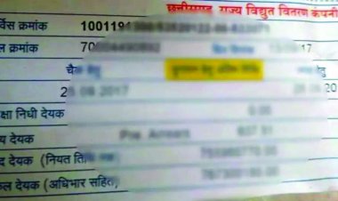 बिजली बिल कम करने का देते थे लालच, ठगी गिरोह के 2 सदस्य गिरफ्तार