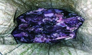 चीतल का मांस खरीदने वाला पकड़ाया,शिकारियों की तलाश जारी