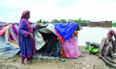बारिश ने पाकिस्तान में लाई तबाही, बाढ़ से 937 लोगों की मौत