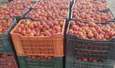 पाकिस्तान में टमाटर 500 और प्याज 400 रुपये किलो