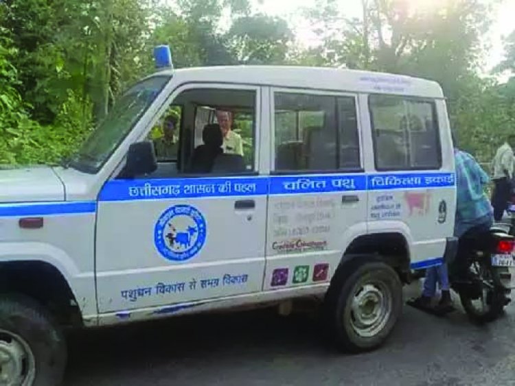 सरकारी एंबुलेंस में सागौन लकड़ी की तस्करी करते अधिकारी गिरफ्तार