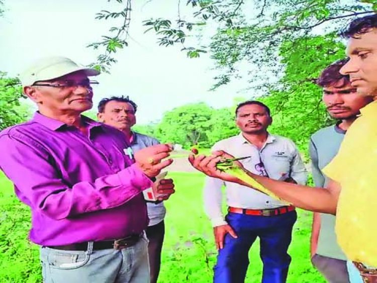 खेत में जहरीले पानी पीने से 52 मौतें, मचा हड़कंप