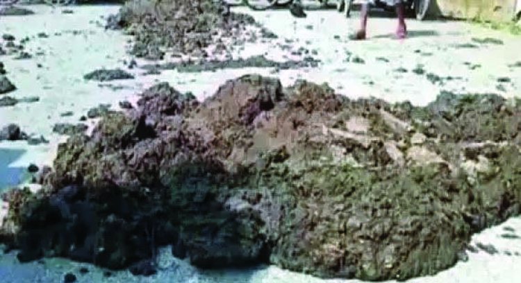 नियमित गोबर खरीदी नहीं होने पर अधिकारियों का रोका जाएगा वेतन