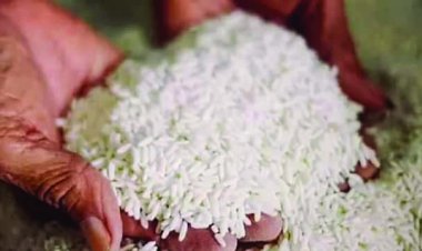 सितंबर के बाद भी लोगों को मिलेगा मुफ्त अनाज? सरकार कर रही विचार, स्टॉक देखकर इस महीने अंतिम फैसला