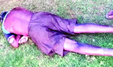 फेंसिंग में फैले करंट की चपेट में आने से किसासन की मौत