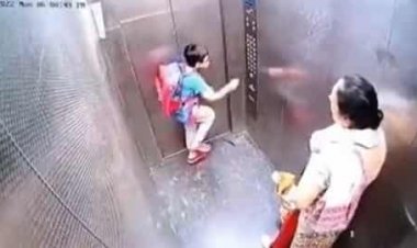 पालतू कुत्ते ने लिफ्ट में बच्चे को काटा, पुलिस ने दर्ज किया FIR