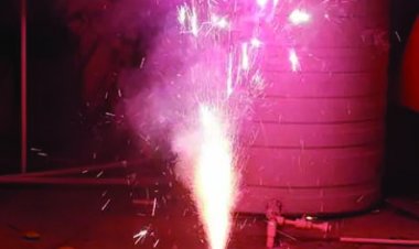 दिल्ली में पटाखों बिन होगी दिवाली, जनवरी तक पूरी तरह बैन