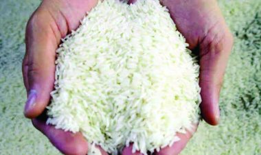 टूटे चावल के निर्यात पर पूरी तरह से प्रतिबंध, सरकार ने आदेश किया जारी