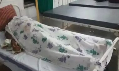 तेज रफ्तार DJ वाहन ने ली सरपंच और उनकी पत्नी की जान