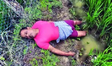 धान की निंदाई करने खेत पहुंचे किसान की करंट से मौत