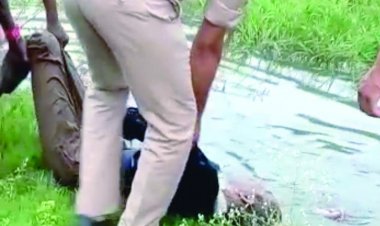 BREAKING NEWS गड्ढे में मिला दुर्ग पीडब्ल्यूडी कर्मी का शव