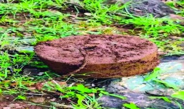 2 IED और एक टिफिन बम जवानों ने किया बरामद