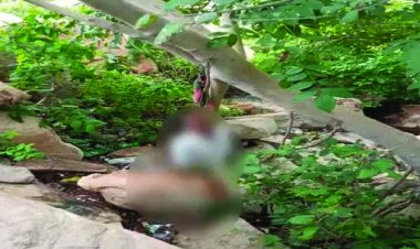 छात्र की हत्या कर फंदे पर लटकाया शव, मौके पर मिला स्कूल बैग और साइकिल