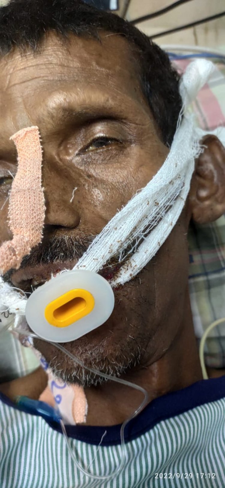 UPDATE: भिलाई के एक अस्पताल में भर्ती मरीज के शरीर में लगी चींटी, जानकारी मिलते ही पहुंचे डॉक्टरों ने किया साफ