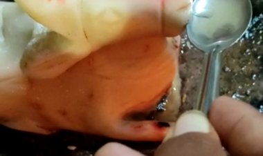 चमत्कार: जब भिलाई के एक मंदिर में नंदी बैल पीने लगा पानी...