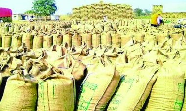 राज्योत्सव के साथ ही एक नवंबर से होगी धान खरीदी